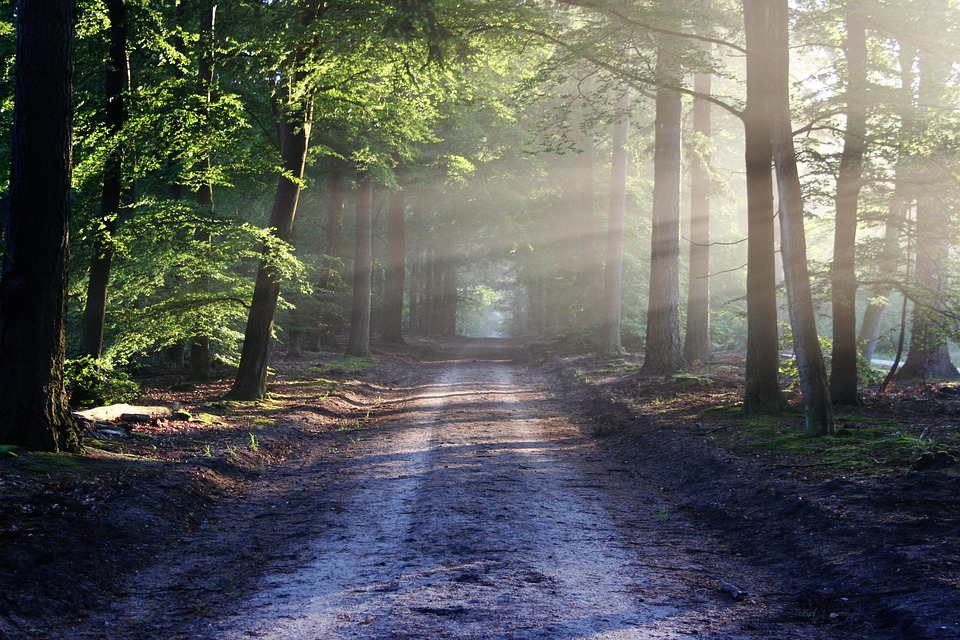 What’s Your Number? How Life Path Numbers Reveal Your Personality and Purpose
