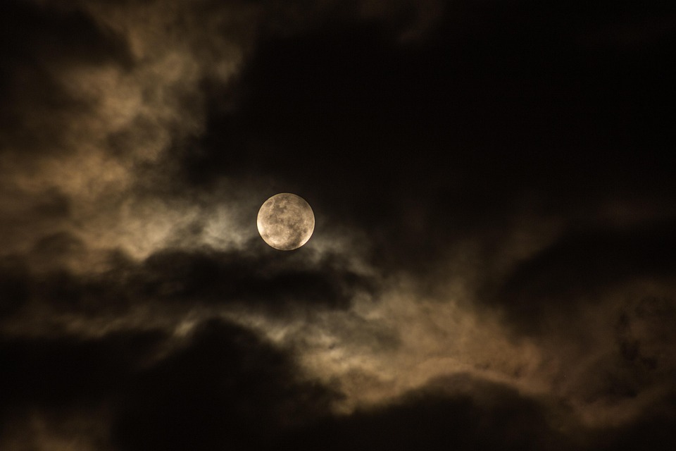 Full Moon Fever: How to Channel the Energy of the Lunar Cycle into Your Creative Pursuits
