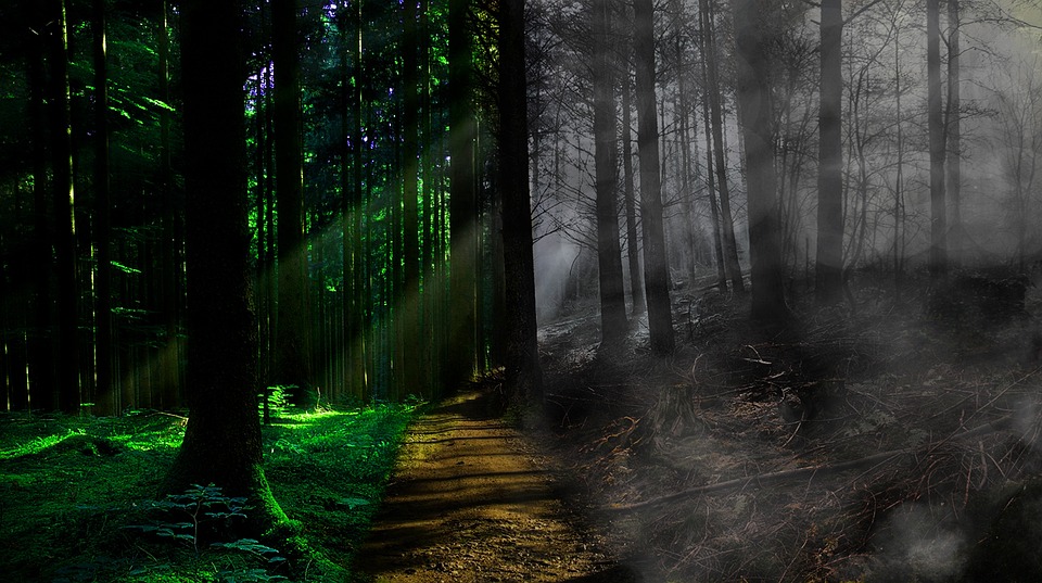 Unlock Your Destiny: Discover the Secrets of Your Life Path Number