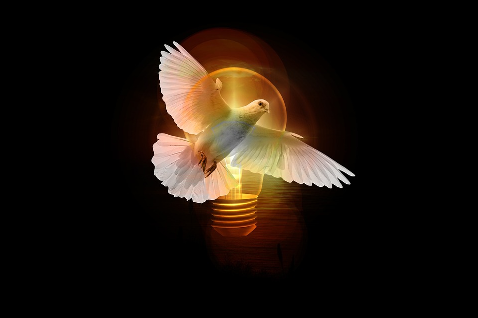 Unlocking the Doors of Perception: How Spirit Guides Can Expand Your Awareness