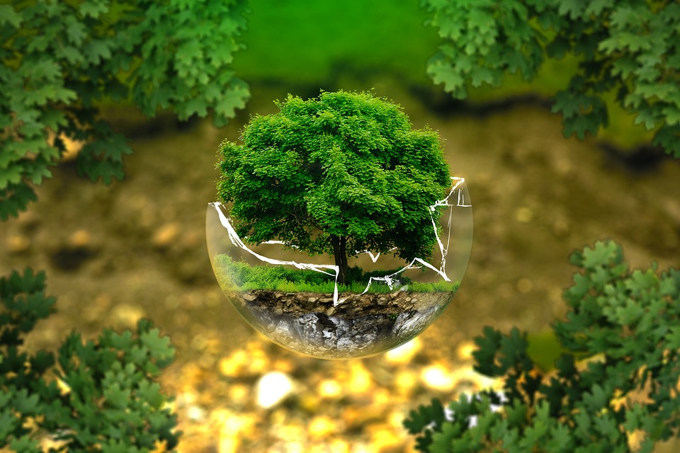 The Cosmic Blueprint: Understanding the Tree of Life and Its Mystical Significance
