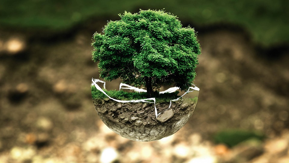Unlocking the Secrets of the Universe: Exploring the Tree of Life in Kabbalah