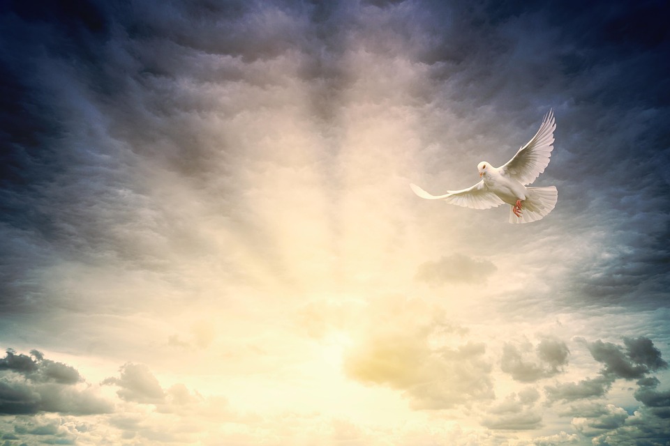 Your Personal Guidance System: How Spirit Guides Can Help You Navigate Life