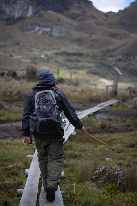 Crack the Code: Understanding the Mysteries of Life Path Numbers and Their Impact on Your Life