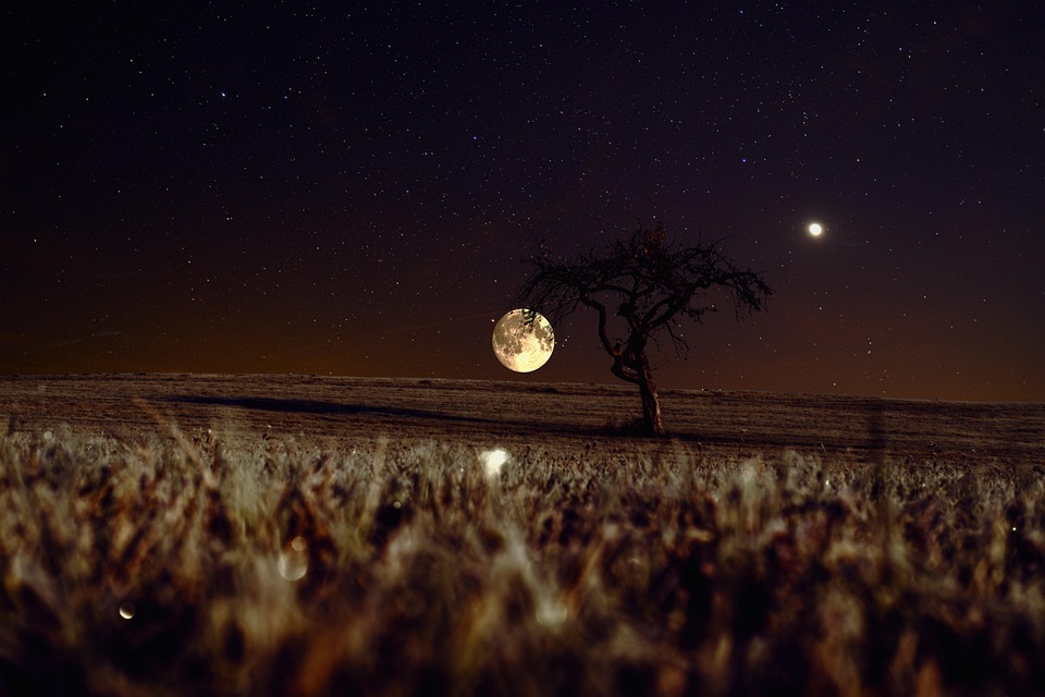 The Full Moon Effect: How Rituals Can Help You Harness the Energy of the Lunar Cycle