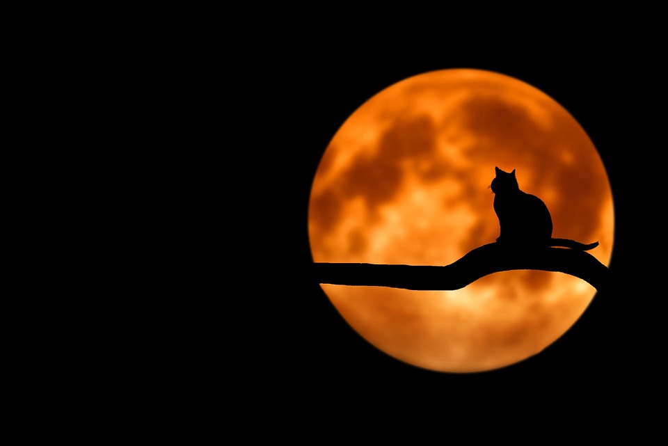 Rituals Under the Full Moon: How to Tap into the Ancient Wisdom of Our Ancestors