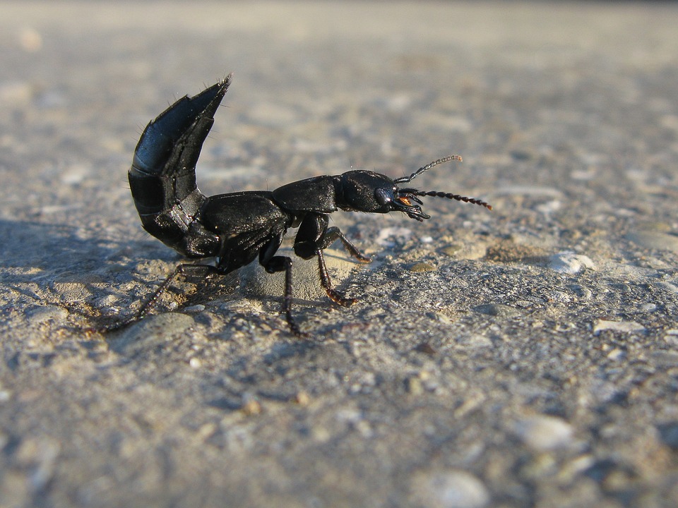Scorpios, Get Ready to Unleash Your Inner Detective and Solve the Mysteries of Your Life