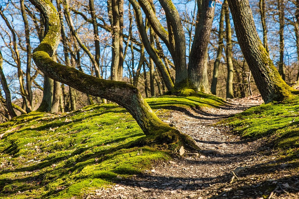 Number Crunching: How Life Path Numbers Can Help You Make Better Life Decisions