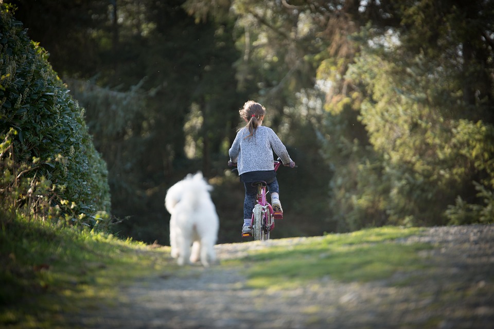 The Inner Child’s Journey Home: How Integrating Your Past and Present Can Bring You Greater Joy and Fulfillment