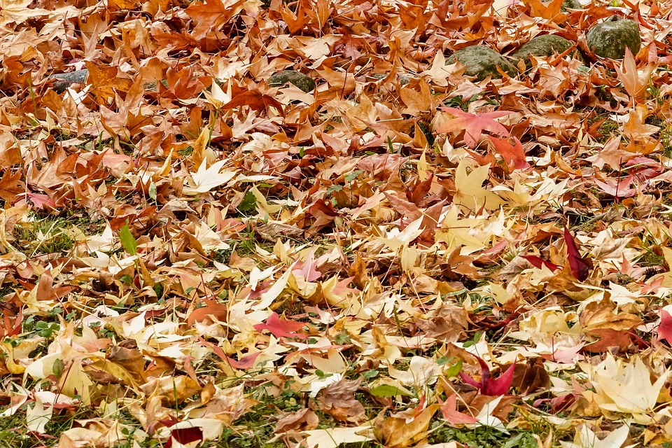 Greening Your Routine: Simple Swaps for a More Sustainable Lifestyle