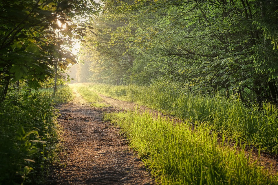 Your Life Path Number: The Key to Understanding Your Life’s Twists, Turns, and Triumphs