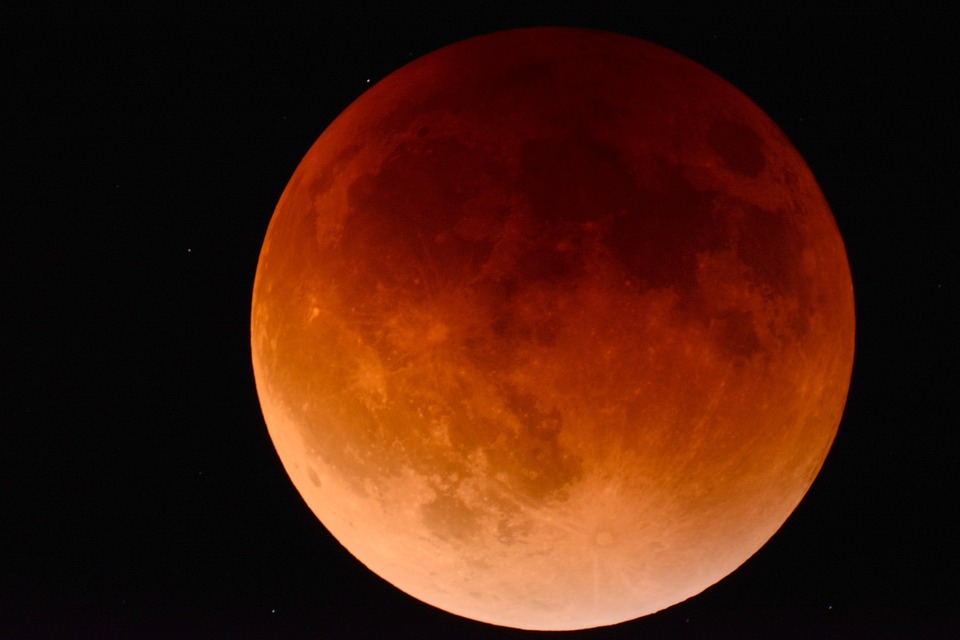 The Lunar Lowdown: Your Essential 2025 Moon Phase Calendar and Planner
