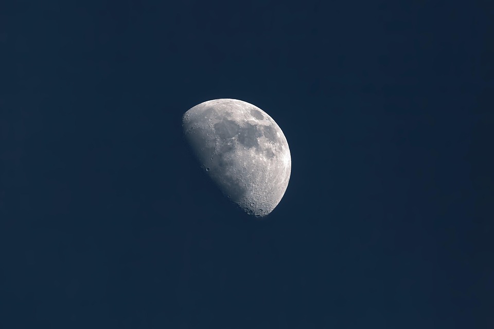 Moon Phase Magic: Your 2025 Calendar for Gardening, Fishing, and More