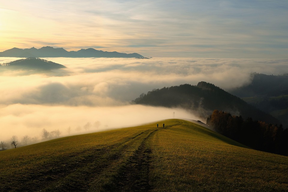The Science of Life Path Numbers: How Numerology Can Help You Navigate Life’s Challenges