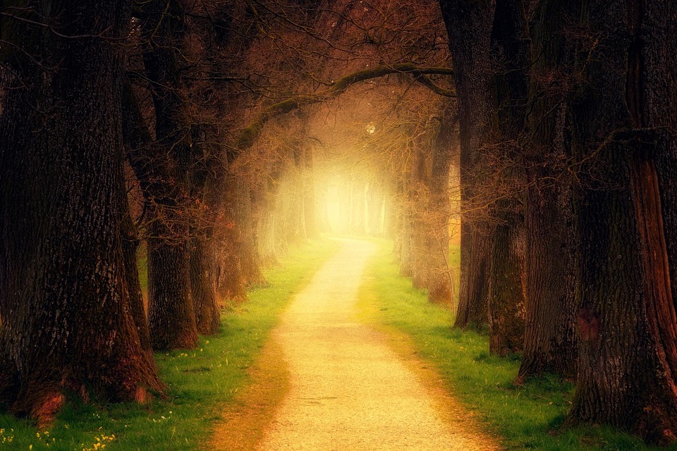Reveal Your True Nature: How Life Path Numbers Can Help You Discover Your Hidden Talents and Abilities