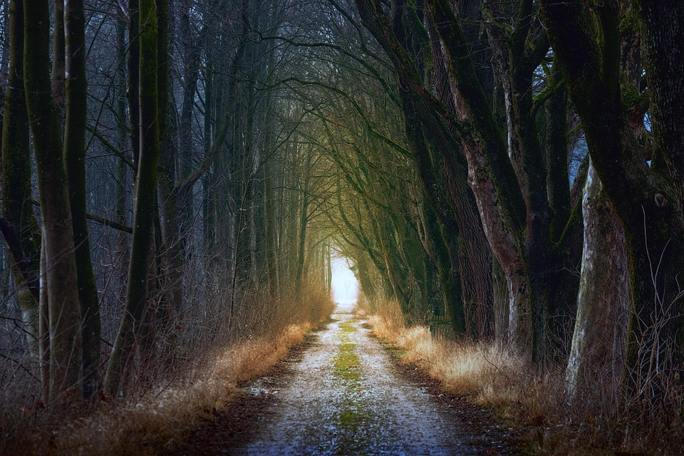 Numerology 101: A Beginner’s Guide to Understanding Life Path Numbers and Their Significance