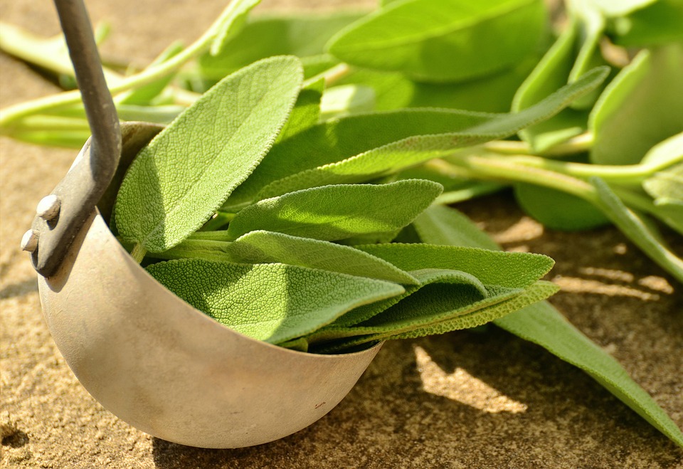 Burning Questions: Answering Your Most Pressing Sage Cleansing Queries
