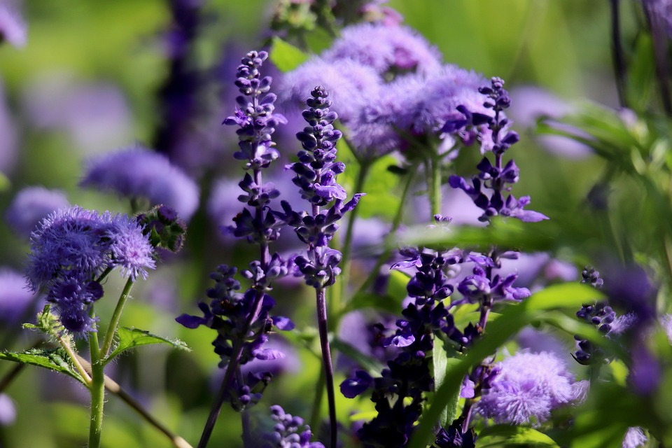 Smoke Out the Negativity: The Ultimate Guide to Sage Cleansing