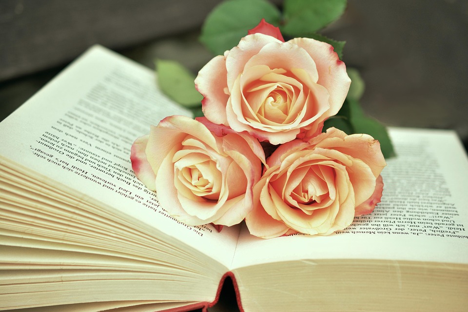 Reveal Your True Nature: The Insights and Revelations of Numerology Readings