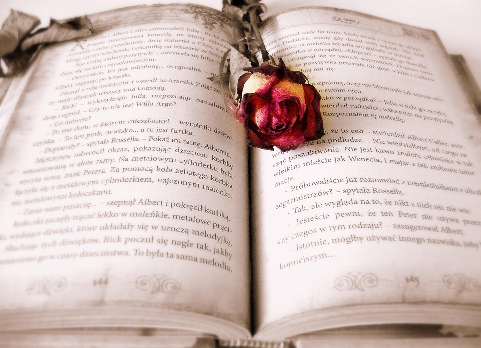 Unlock the Secrets of Your Destiny: Discover the Power of Numerology Readings