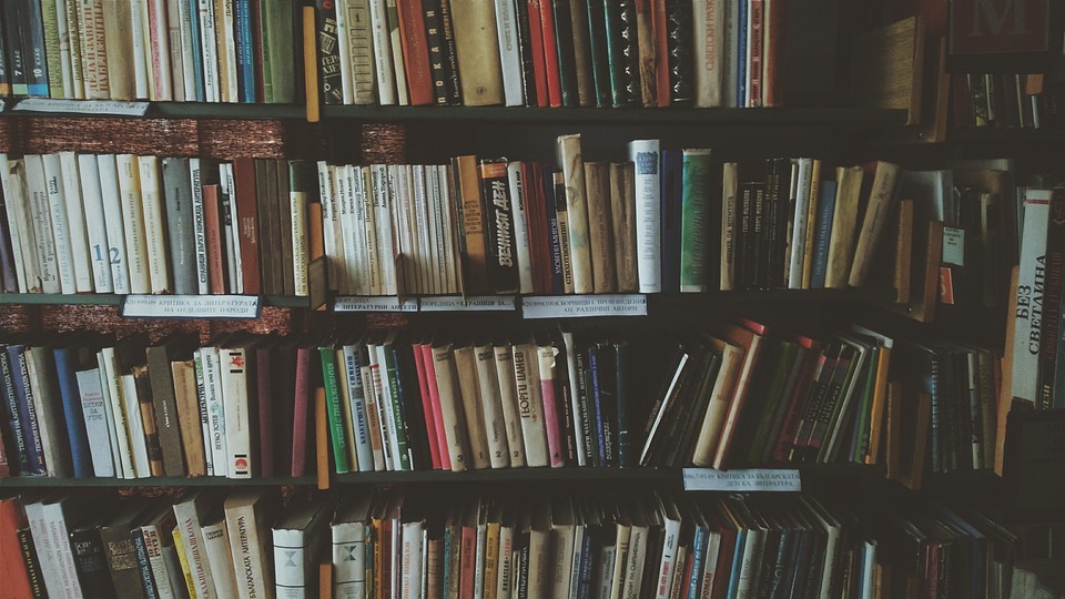 Number Crunching: The Surprising Ways Numerology Can Improve Your Life
