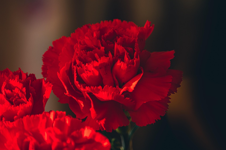 Protection, Positive Energy, and Passion: The Multifaceted Meaning of the Kabbalah Red String