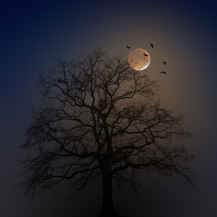Harness the Power of the Lunar Cycle: 10 Moon Magic Spells for Beginners