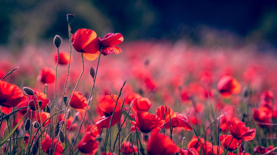 A Symbol of Resilience: How the Red String Can Help You Overcome Life’s Challenges