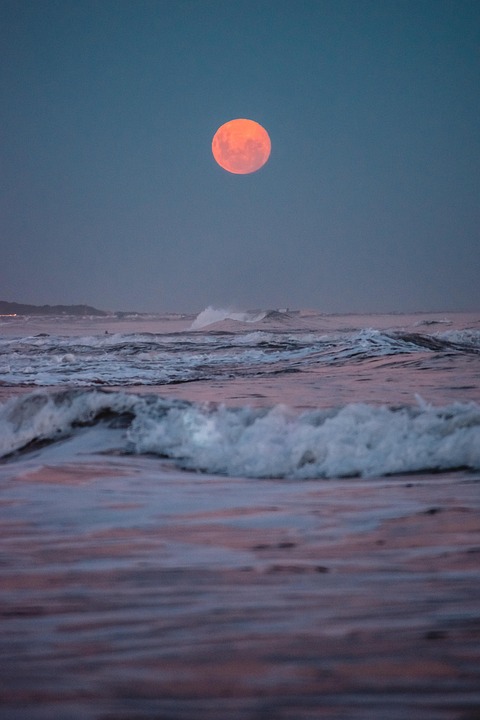 Moon Water: The Ancient Remedy for Modern Wellness