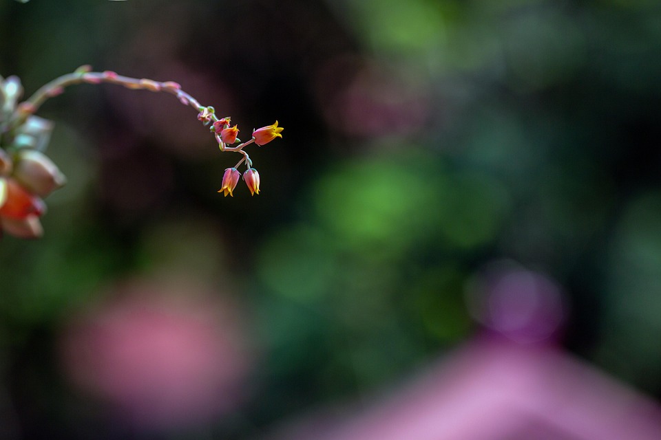 Energy Emergency: What to Do When Your Chakras Are Out of Whack