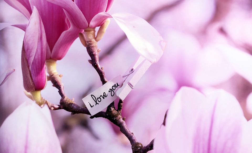 Connecting with the Other Side: The Role of Psychic Readings in Grieving and Healing