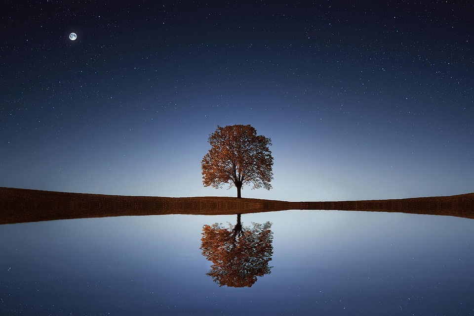 Tapping into the Power of the Moon: The Surprising Benefits of Moon Water