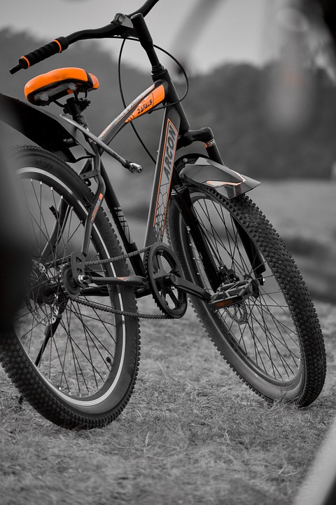 Cycle Smart: How A Moon Cycle Tracker Can Help You Navigate Life’s Challenges With Ease