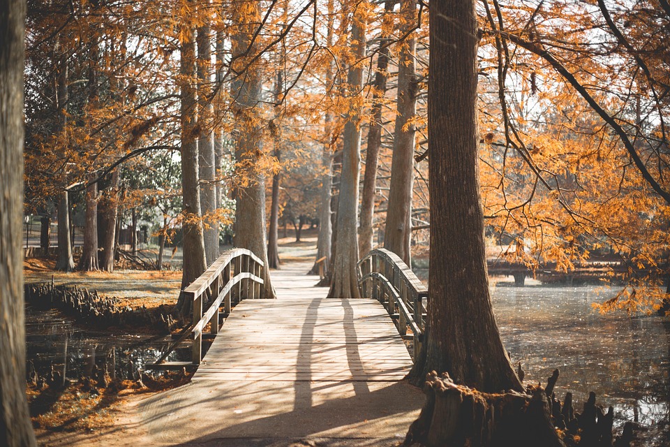 Sacred Space, Sacred Self: The Connection Between Aura Cleansing and Personal Growth