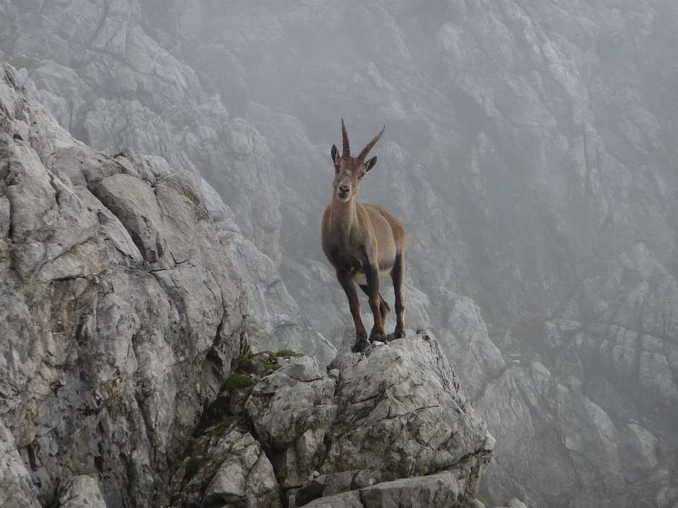 Practical Advice for Capricorns: Making the Most of Your Earthy Energy