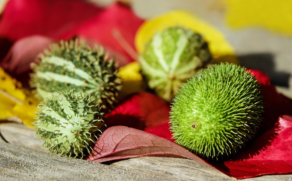 The Ultimate Beginner’s Guide to Tarot: Tips, Tricks, and Techniques for Success