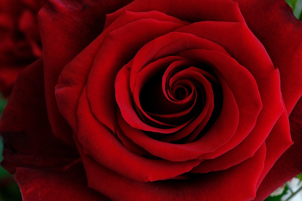 Birth Date Bliss: How Numerology Can Help You Understand Yourself and Your Place in the World