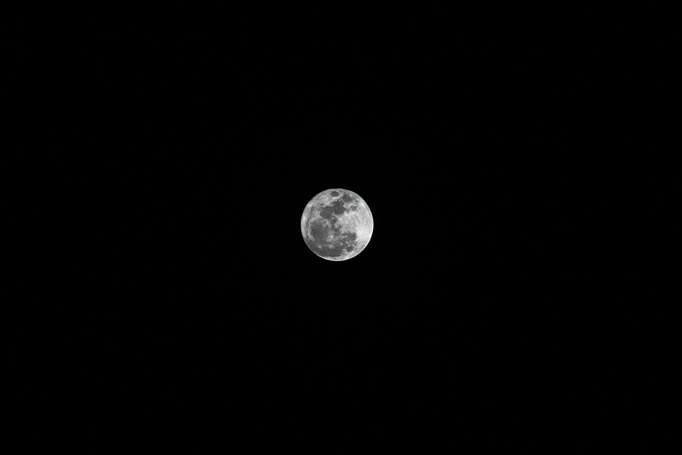 New Moon, New You: Harnessing the Emotional Power of the Moon’s Phases