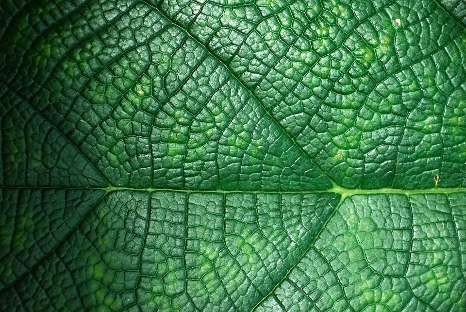 Technology and Innovation