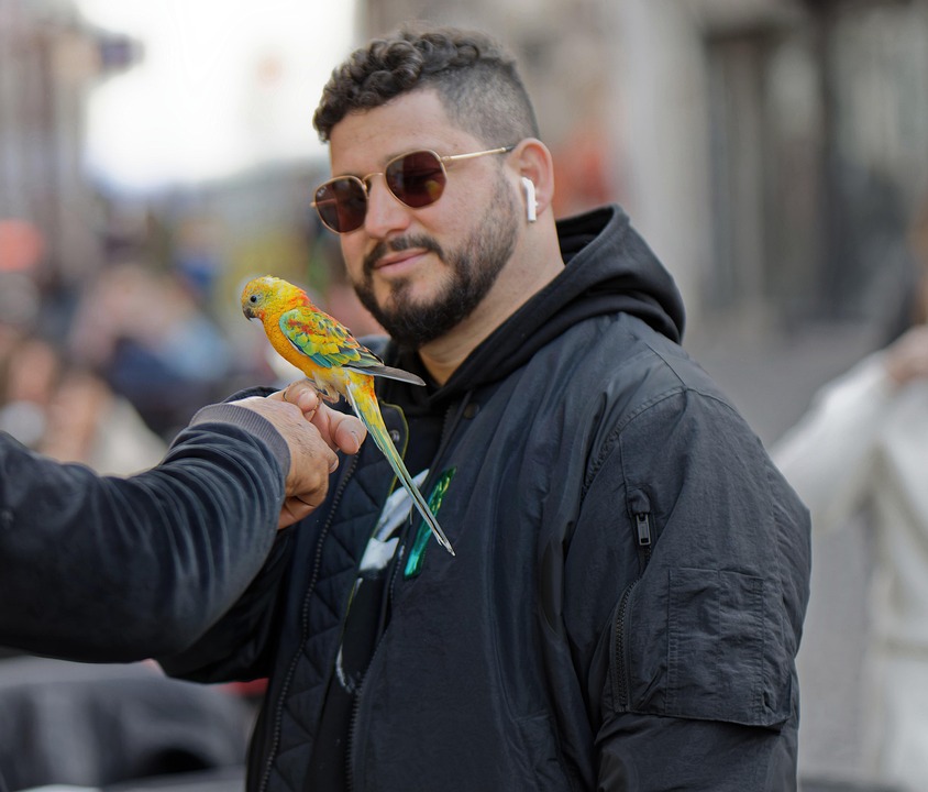 Numerology 2025: The Hidden Patterns and Codes That Will Shape Your Year