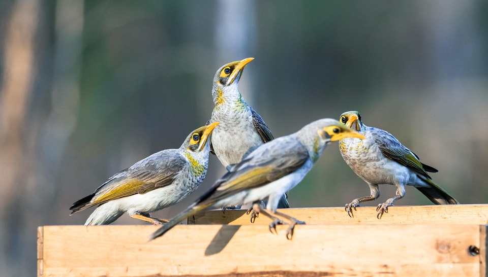 Cups and Emotions: How the Minor Arcana’s Suit of Cups Reveals Hidden Truths About Our Feelings