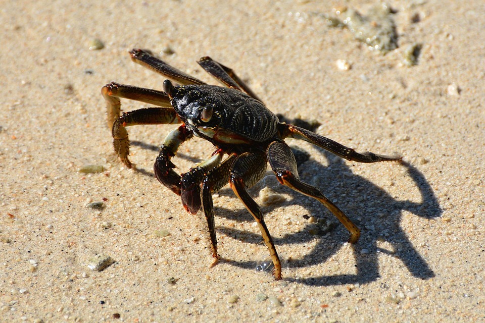 The Cancer Self-Care Guide: Prioritizing Your Wellbeing