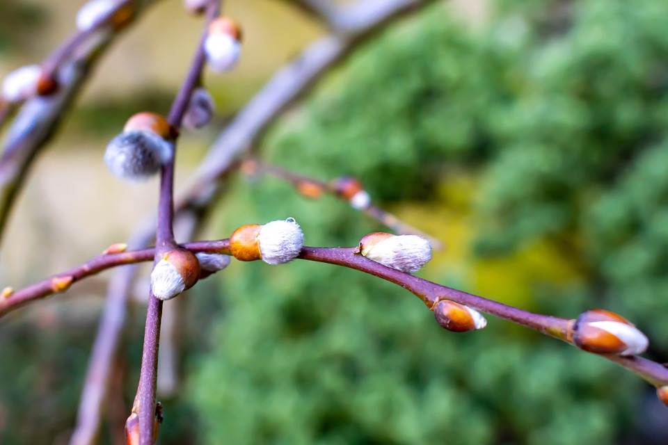 The Great Awakening: 11 Signs You’re Part of a Global Spiritual Movement and How to Navigate the Shift