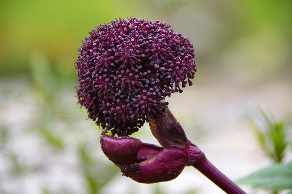 The Physics of Healing Frequencies: Understanding the Mechanics of Sound Healing