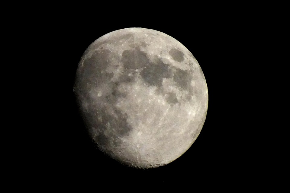 The Lunar Cycle of Growth: How to Time Your Gardening Tasks for Maximum Success