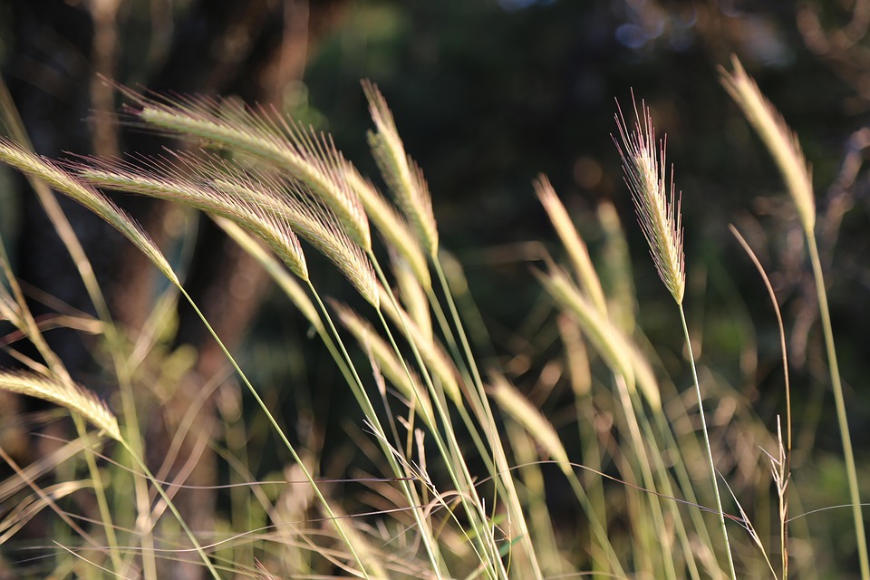 Virgo, It’s Time to Shine: Your Luck and Love Forecast