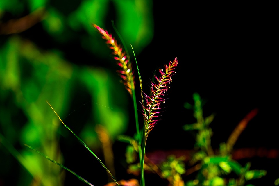 Using Healing Frequencies in My Daily Life: Tips and Tricks for Incorporation