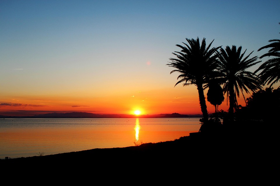 Two to Ten: A Comprehensive Guide to the Pip Cards of the Minor Arcana