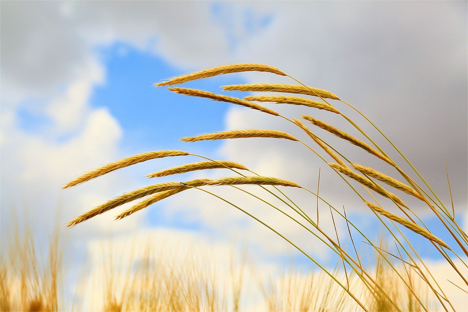 Love, Money, and Success: Your Virgo Horoscope for the Month