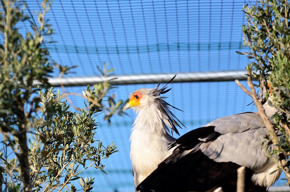 Sagittarius Horoscope: Unlock Your Potential and Explore the World